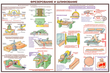 ПС09 Безопасность труда при деревообработке (пластик, А2, 5 листов) - Плакаты - Безопасность труда - Магазин охраны труда и техники безопасности stroiplakat.ru